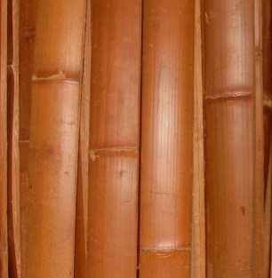 Bamboelat gestoomd
